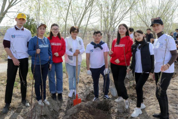 Фотография к новости: "Таза Қазақстан". Қызылордалық студенттер ағаш көшеттерін отырғызды