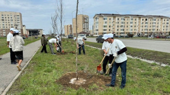 Фотография к новости: "Таза Қазақстан". Талдықорғанда 1650 тонна қоқыс шығарылды