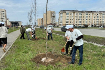 Фотография к новости: "Таза Қазақстан". Талдықорғанда 1650 тонна қоқыс шығарылды