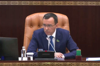 Фотография к новости: Сенатта әйелдер құқықтары мен бала қауіпсіздігін қамтамасыз ететін қос заң мақұлданды