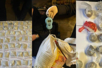 Фотография к новости: Шымкентте аса ірі көлемде марихуана сақталған жертөле табылды