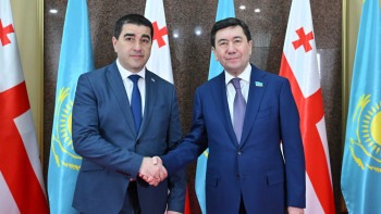 Фотография к новости: Мәжіліс спикері Грузия Парламентінің басшысымен кездесті