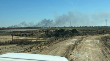 Фотография к новости: Атырауда қамыс өртеніп жатыр