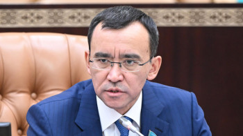 Фотография к новости: Әйелдер құқы мен бала қауіпсіздігі. Заң ата-ана құқығынан айыруды көздемейді – Әшімбаев