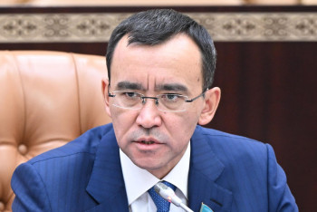 Фотография к новости: Әйелдер құқы мен бала қауіпсіздігі. Заң ата-ана құқығынан айыруды көздемейді – Әшімбаев