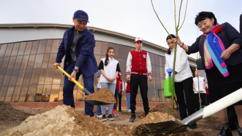 Фотография к новости: Түркістан облысында 138 мыңға жуық көшет отырғызылды
