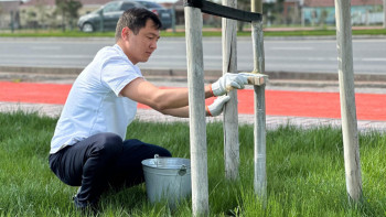 Фотография к новости: "Таза Қазақстан": Созақ ауданында 1 мың адам 240 тонна қоқыс жиналды