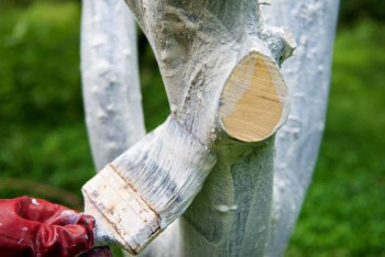 Фотография к новости: "Таза Қазақстан":Түркістан облысында  экологиялық акциясы жалғасуда