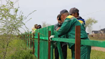 Фотография к новости: "Таза Қазақстан". Арыста жол бойындағы жасыл желектер қоршалды