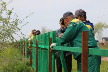 Фотография к новости: "Таза Қазақстан". Арыста жол бойындағы жасыл желектер қоршалды