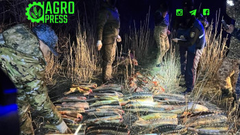 Фотография к новости: "Бекіре-2024". Браконьерлерге 3,1 млн теңгеге айыппұл салынды