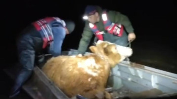 Фотография к новости: Оралда эвакуациялау жұмыстары тәулік бойы жалғасуда