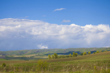 Фотография к новости: Жетісу облысында мемлекетке 170 млн теңгенің жері қайтарылды