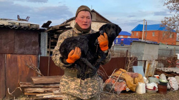 Фотография к новости: СҚО-да 700-ден астам әскери қызметші тасқын сумен күресуде