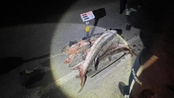 Фотография к новости: Елімізде “Бекіре” акциясы жалғасып жатыр