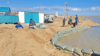 Фотография к новости: Ақтөбе облысында 20 мың бас мал қауіпсіз орынға айдалды