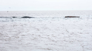 Фотография к новости: Жем өзеніндегі су деңгейі 85 см-ге төмендеді