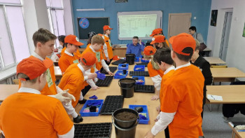 Фотография к новости: Балқаштағы мектептердің бірінде жылыжай пайда болды