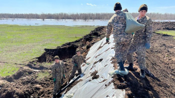 Фотография к новости: БҚО-да бес мыңға жуық үй жануары қауіпсіз жерлерге айдалды