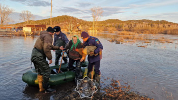 Фотография к новости: Тұрғын үй, материалдық көмек, бизнеске келтірілген зиян қалай өтеледі