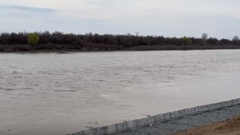 Фотография к новости: Жайық өзеніндегі су деңгейі қандай