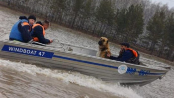 Фотография к новости: Павлодарлық құтқарушылар СҚО-да су тасқынына қарсы жұмыстарды жалғастыруда