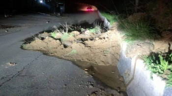 Фотография к новости: Алматыда лай көшкіні орын алды