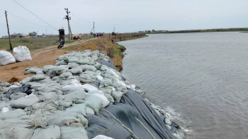 Фотография к новости: Атырау облысындағы Жайық өзеніндегі су деңгейі көтерілді