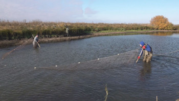 Фотография к новости: Балық аулауға тыйым салынды