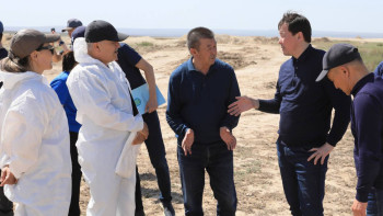 Фотография к новости: Ақтөбеде су тасқыны кезінде өлген мал үшін өтемақы төлене бастады