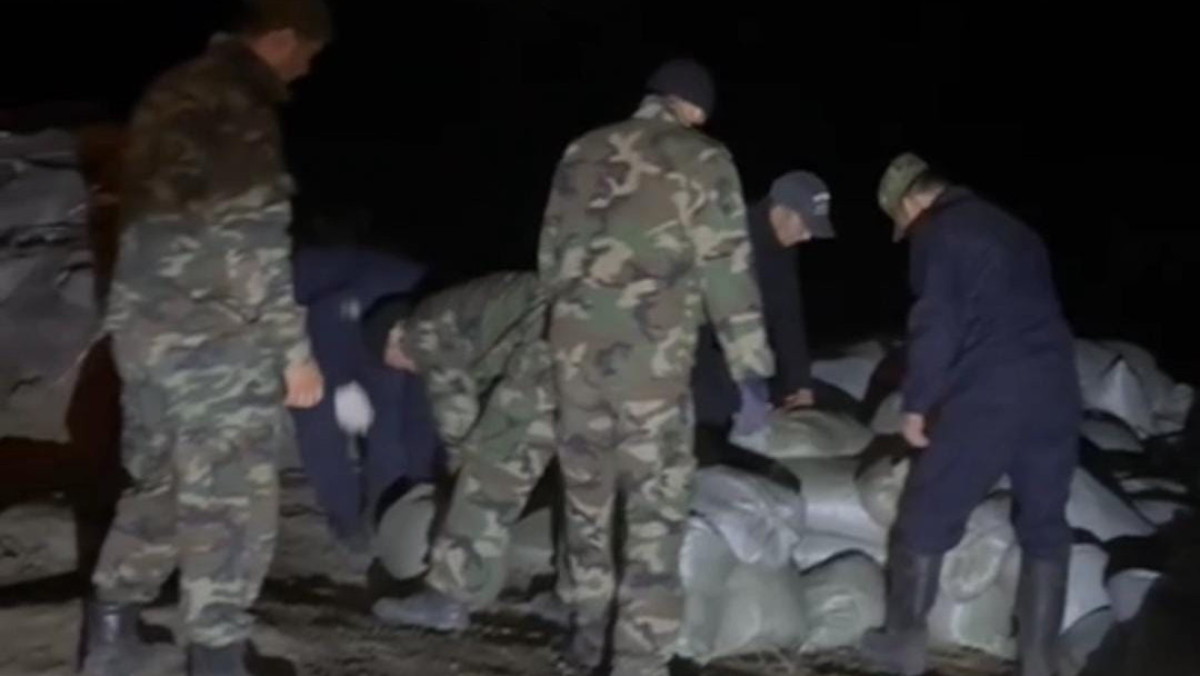  видеодан кадр