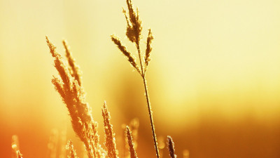 Маусым айы ыстық әрі құрғақ болады - Қазгидромет