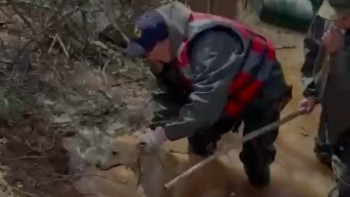Фотография к новости: Оралда Жайық өзенінің деңгейі 8 сантиметрге көтерілді