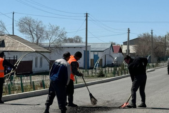 Фотография к новости: "Таза Қазақстан". Абай облысының тұрғындары жоғары белсенділік танытты
