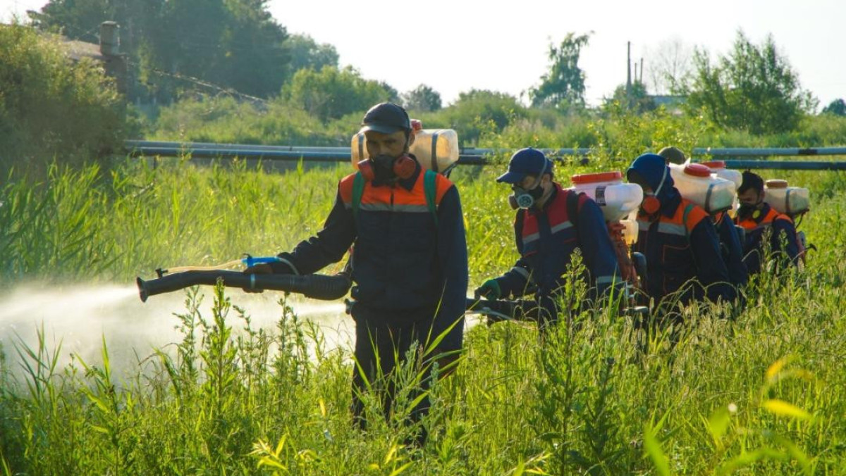  Астана қаласы әкімдігінің ресми сайты