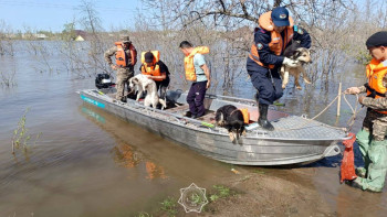 Фотография к новости: Елімізде 5 мыңнан астам үй су астында қалған