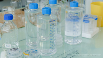 Фотография к новости: Жайық өзенінен сынама алынып жатыр