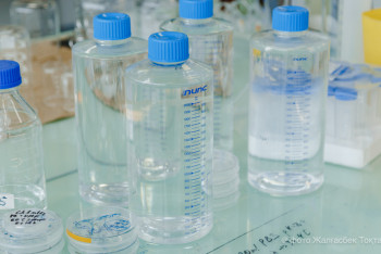 Фотография к новости: Жайық өзенінен сынама алынып жатыр