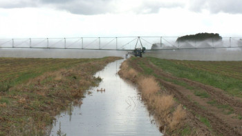 Фотография к новости: Құрғақшылықтан зардап шеккен шаруаларға қандай көмек көрсетіледі