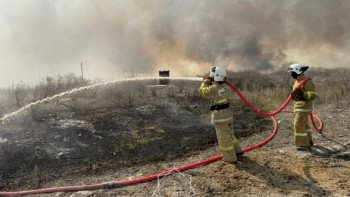 Фотография к новости: Алматы облысында шыққан өрт орман қорына таралды