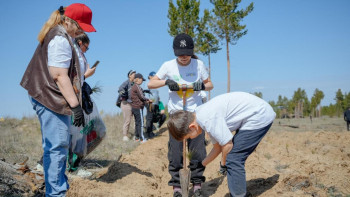 Фотография к новости: "Семей орманы – жасыл аймақ" ағаш отырғызу бойынша кең ауқымды акция өтті