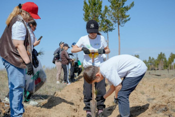Фотография к новости: "Семей орманы – жасыл аймақ" ағаш отырғызу бойынша кең ауқымды акция өтті
