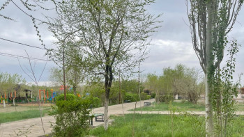 Фотография к новости: Таза Қазақстан. Жезқазғанда 100 тал ағаш отырғызылды