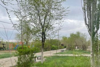 Фотография к новости: Таза Қазақстан. Жезқазғанда 100 тал ағаш отырғызылды