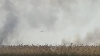 Фотография к новости: Қарағандыда қамыс  өртенді