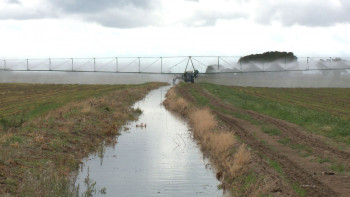 Фотография к новости: Құрғақшылықтан зардап шеккен шаруаларға қандай көмек көрсетіледі