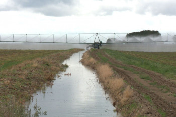 Фотография к новости: Құрғақшылықтан зардап шеккен шаруаларға қандай көмек көрсетіледі