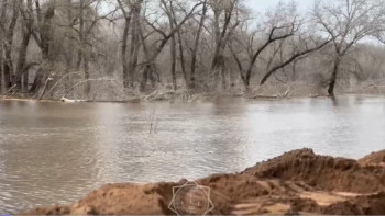Фотография к новости: "Ауруы бар мал көмілген жерлерді су басқан". Вице-министр түсініктеме берді