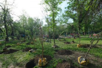 Фотография к новости: «Алматы – бақ қала»: Сүйікті қалаңызға ағаш отырғызыңыз
