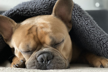 "-8 градусқа дейін аяз". Синоптиктер демалыстағы күн райына болжам жасады